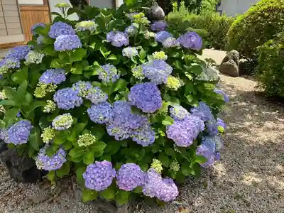 美奈宜神社(福岡県)