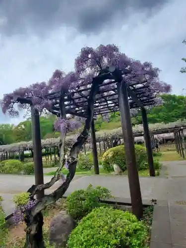 玉敷神社(埼玉県)