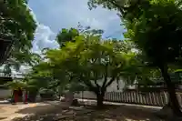 長田神社(大阪府)