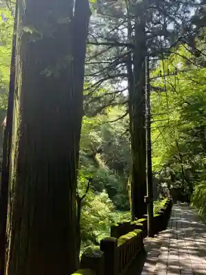 榛名神社(群馬県)