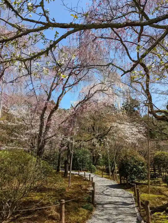 龍安寺(京都府)