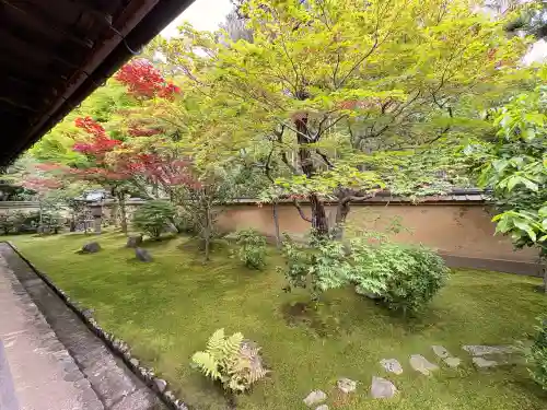 興臨院の{uncategorized: "未分類", other: "その他", undefined: "問題あり", building: "その他建物", grave: "お墓", sacred_gate: "鳥居", guardian: "狛犬", statue: "像", buddha: "仏像", history: "歴史", nature: "自然", garden: "庭園", animal: "動物", pagoda: "塔", temizu: "手水舎", mountain_gate: "山門・神門", sanctuary: "本殿・本堂", subordinate: "末社・摂社", art: "芸術", scenery: "景色", jizo: "地蔵", ema: "絵馬", goshuin: "御朱印", omikuji: "おみくじ", items: "授与品その他", amulet: "お守り", goshuincho: "御朱印帳", eats: "食事", festival: "お祭り", votive_dance: "神楽", shichigosan: "七五三参", wedding: "結婚式", experience: "体験その他", initially: "初詣", around: "周辺", anti_infection: "感染症対策"}
