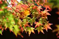 滑川神社 - 仕事と子どもの守り神の自然