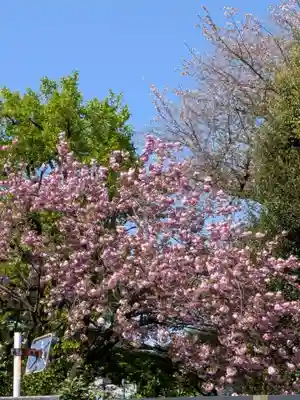 愛染院(東京都)