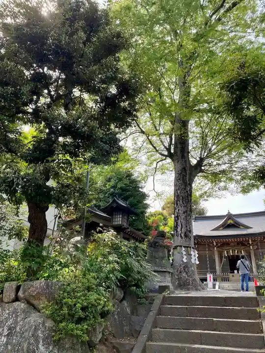 青渭神社(東京都)