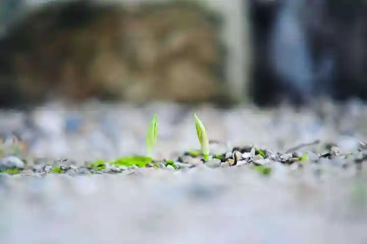 浄土寺(兵庫県)