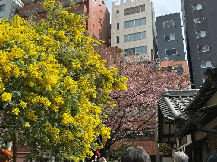 蔵前神社の{uncategorized: "未分類", other: "その他", undefined: "問題あり", building: "その他建物", grave: "お墓", sacred_gate: "鳥居", guardian: "狛犬", statue: "像", buddha: "仏像", history: "歴史", nature: "自然", garden: "庭園", animal: "動物", pagoda: "塔", temizu: "手水舎", mountain_gate: "山門・神門", sanctuary: "本殿・本堂", subordinate: "末社・摂社", art: "芸術", scenery: "景色", jizo: "地蔵", ema: "絵馬", goshuin: "御朱印", omikuji: "おみくじ", items: "授与品その他", amulet: "お守り", goshuincho: "御朱印帳", eats: "食事", festival: "お祭り", votive_dance: "神楽", shichigosan: "七五三参", wedding: "結婚式", experience: "体験その他", initially: "初詣", around: "周辺", anti_infection: "感染症対策"}