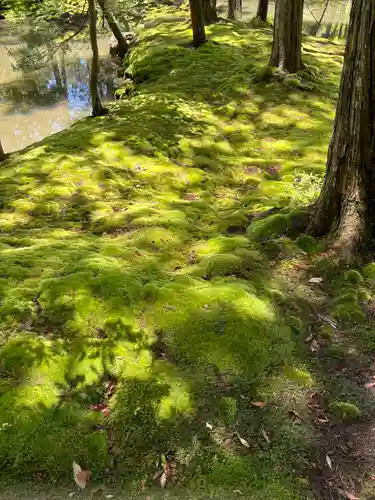 西芳寺(京都府)