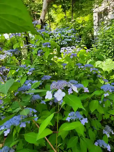 長命寺(福島県)
