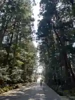 彌彦神社(新潟県)