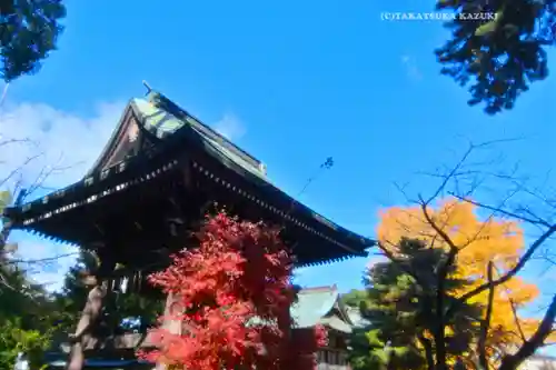 葛飾八幡宮(千葉県)