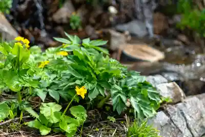 白山比咩神社　奥宮(石川県)