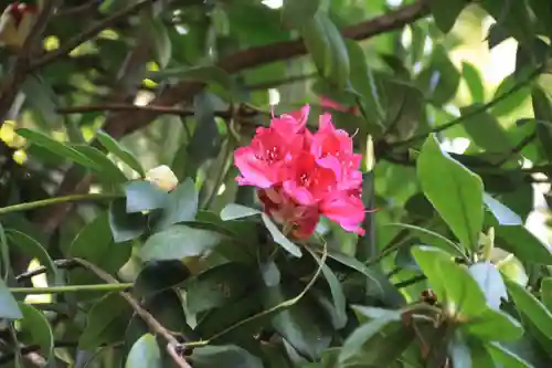 阿邪訶根神社の庭園