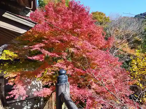 能満院(奈良県)