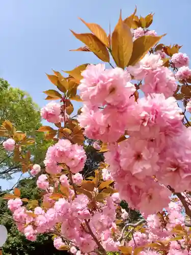 子鍬倉神社の自然