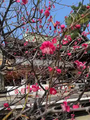 白山神社(新潟県)