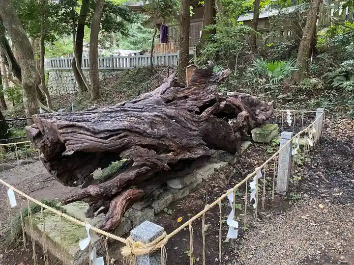 泉神社(茨城県)
