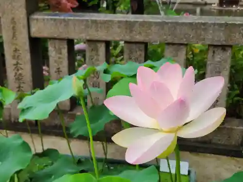 生田神社の自然