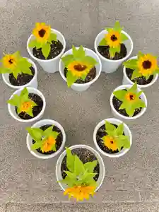 伊達神社(北海道)(2023年07月25日(火) 19時08分14秒投稿)