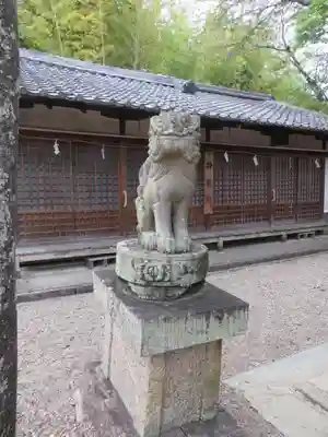 天神社の狛犬