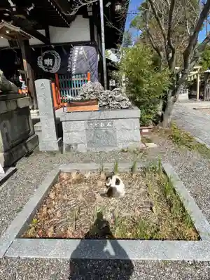 中津瀬神社(山口県)