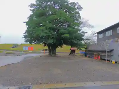 三明神社(神領町)の末社・摂社