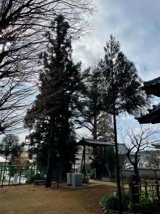 中山杉山神社(神奈川県)