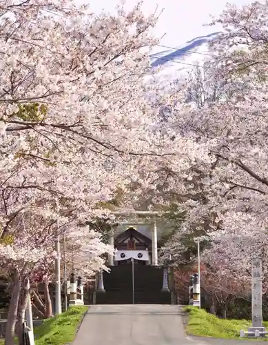 岩内神社の自然