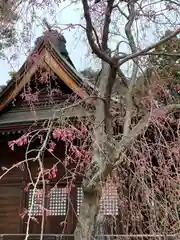 豊景神社の自然