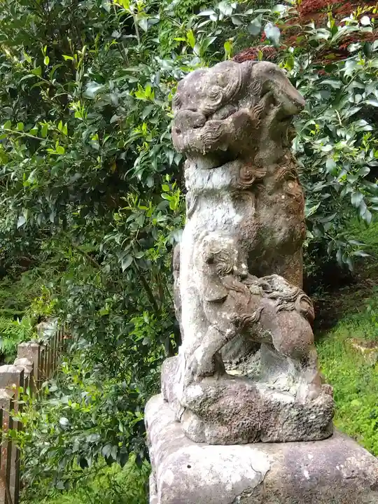 八幡神社(福井県)