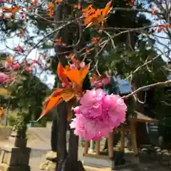 高司神社〜むすびの神の鎮まる社〜の自然