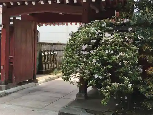 安養寺の山門