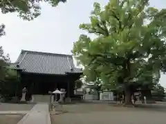 斑鳩寺の建物その他