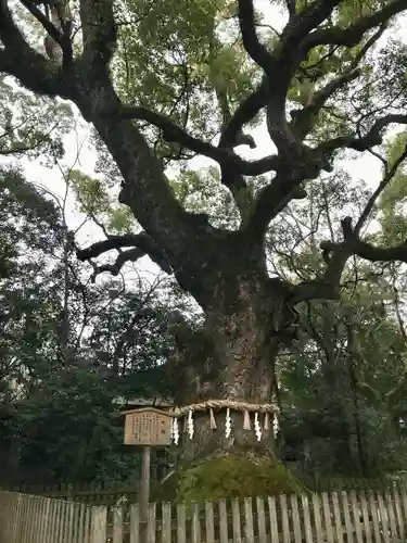 熱田神宮の自然