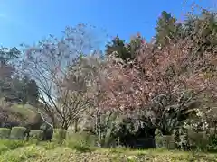 中尊寺(岩手県)