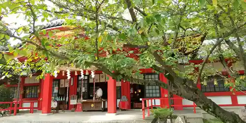 市原稲荷神社の本殿・本堂