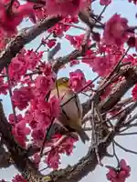 鳳林寺(東京都)