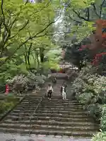 室生寺の{uncategorized: "未分類", other: "その他", undefined: "問題あり", building: "その他建物", grave: "お墓", sacred_gate: "鳥居", guardian: "狛犬", statue: "像", buddha: "仏像", history: "歴史", nature: "自然", garden: "庭園", animal: "動物", pagoda: "塔", temizu: "手水舎", mountain_gate: "山門・神門", sanctuary: "本殿・本堂", subordinate: "末社・摂社", art: "芸術", scenery: "景色", jizo: "地蔵", ema: "絵馬", goshuin: "御朱印", omikuji: "おみくじ", items: "授与品その他", amulet: "お守り", goshuincho: "御朱印帳", eats: "食事", festival: "お祭り", votive_dance: "神楽", shichigosan: "七五三参", wedding: "結婚式", experience: "体験その他", initially: "初詣", around: "周辺", anti_infection: "感染症対策"}