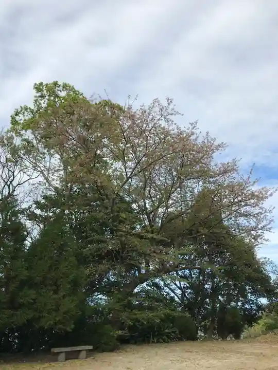 河内阿蘇神社の自然