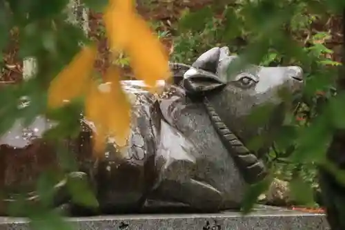 豊景神社の狛犬