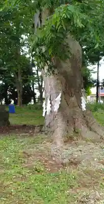 鳥海月山両所宮(山形県)