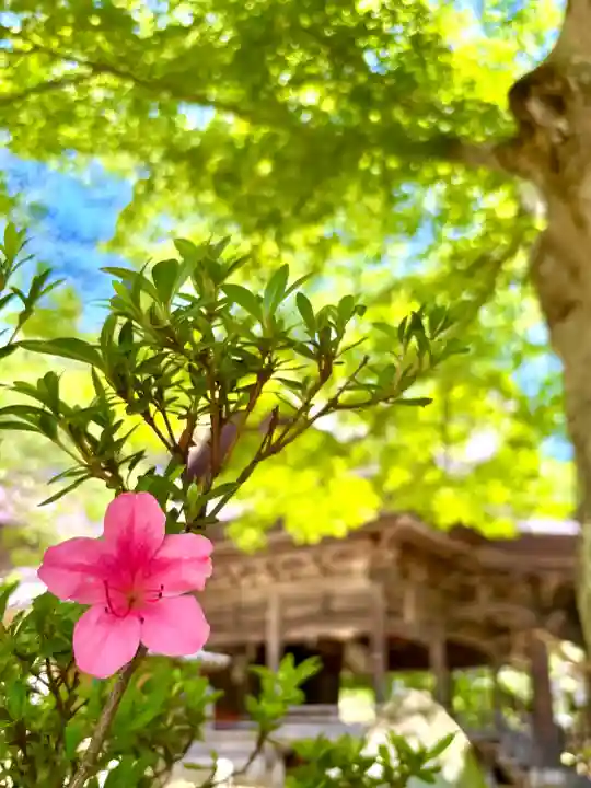 蚊里田八幡宮(長野県)