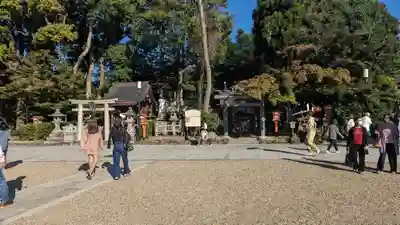 八坂神社(祇園さん)(京都府)