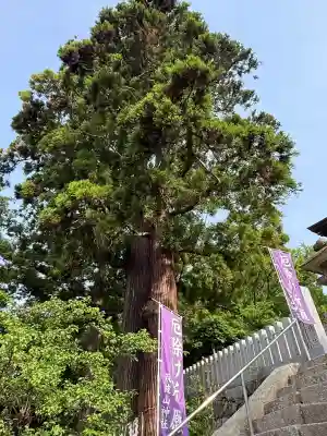 筑波山神社(茨城県)