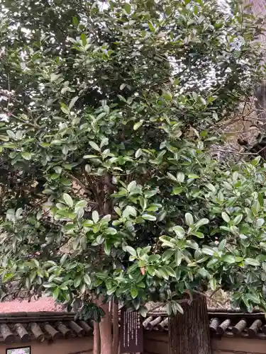 法起院(奈良県)