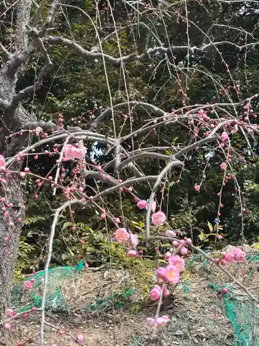 大縣神社(愛知県)