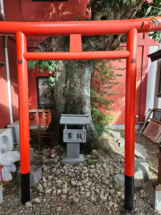 大杉神社(茨城県)