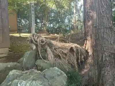氷川女體神社(埼玉県)