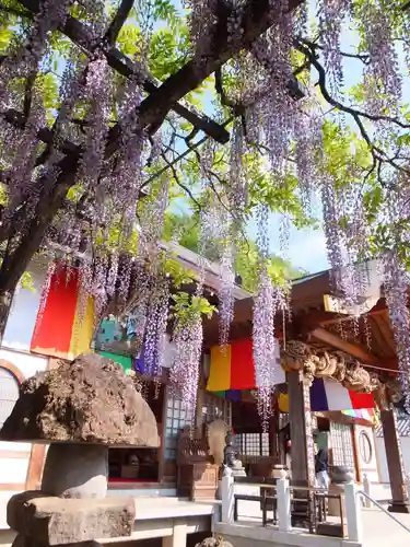 野坂寺の本殿