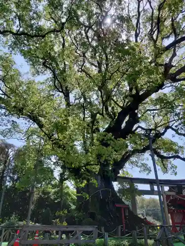 山宮神社(鹿児島県)